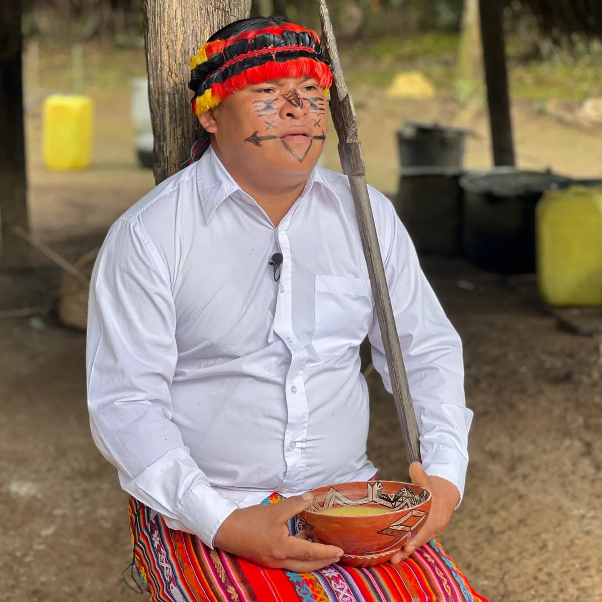 Holistic Perspectives on Nature and the Environment